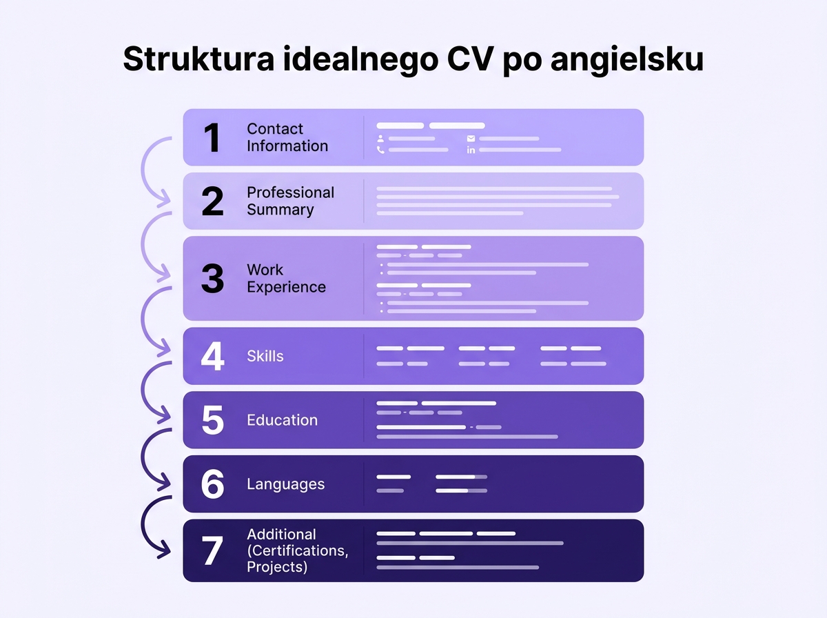 Struktura CV po angielsku — 7 sekcji: Contact Info, Professional Summary, Work Experience, Skills, Education, Languages, Additional