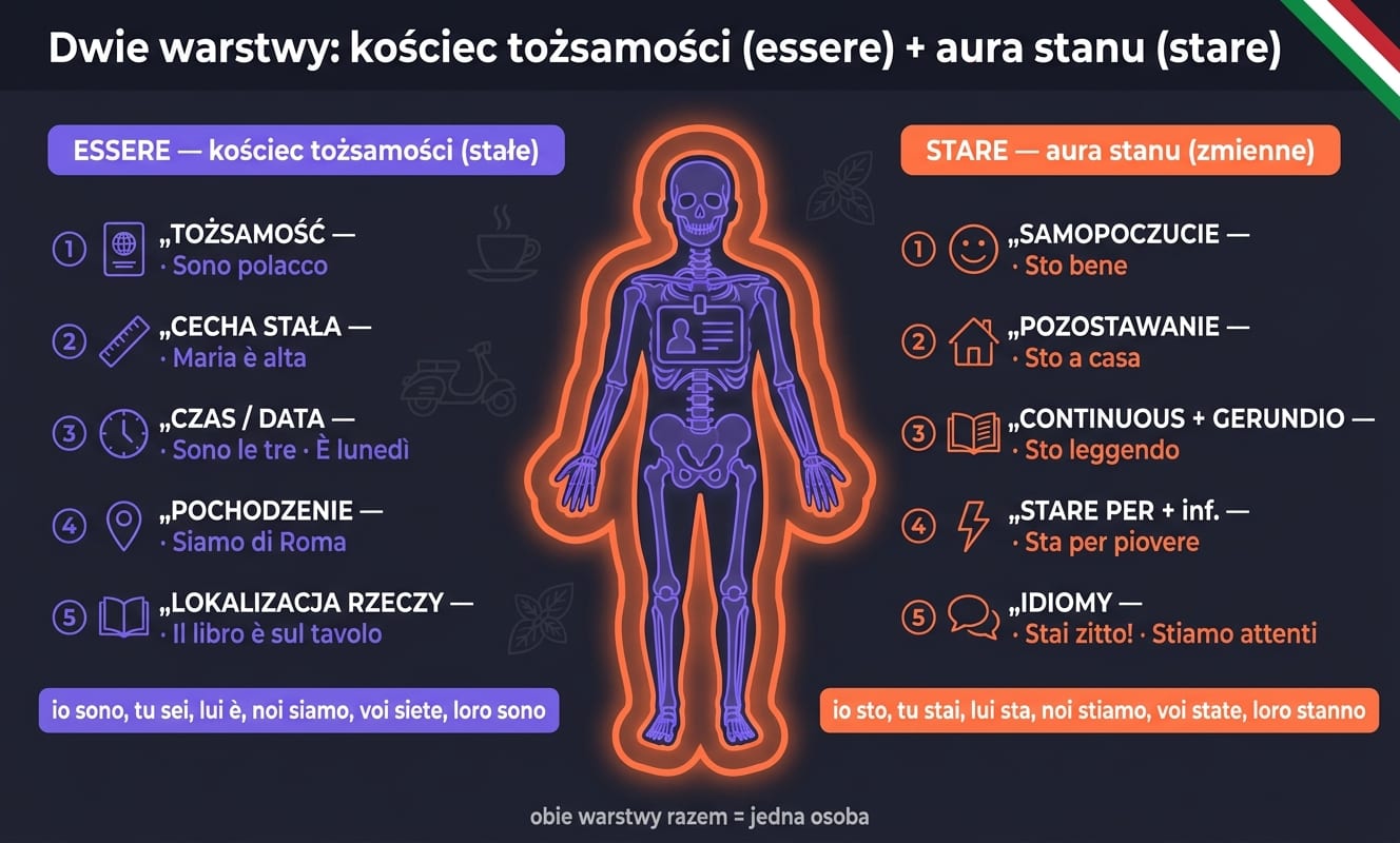 Dwie warstwy postaci: ESSERE = fioletowy kościec tożsamości z 5 funkcjami (tożsamość Sono polacco, cecha stała Maria è alta, czas/data Sono le tre · È lunedì, pochodzenie Siamo di Roma, lokalizacja rzeczy Il libro è sul tavolo) + koniugacja io sono…; STARE = pomarańczowa aura stanu z 5 funkcjami (samopoczucie Sto bene, pozostawanie Sto a casa, continuous + gerundio Sto leggendo, stare per + inf Sta per piovere, idiomy Stai zitto/Stiamo attenti) + koniugacja io sto…