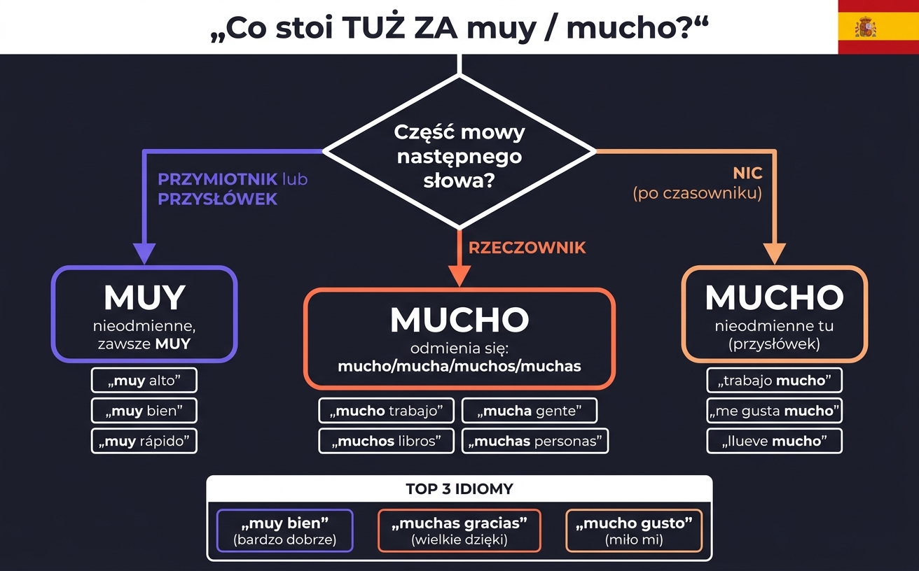 Tabela porównawcza MUY vs MUCHO — kiedy używać której formy w języku hiszpańskim