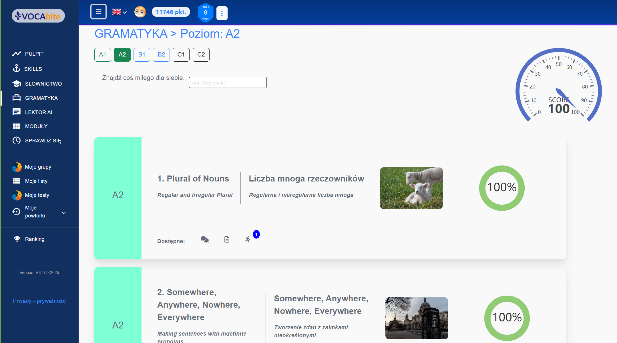 Zrzut ekranu sekcji gramatycznej w VOCAbite.